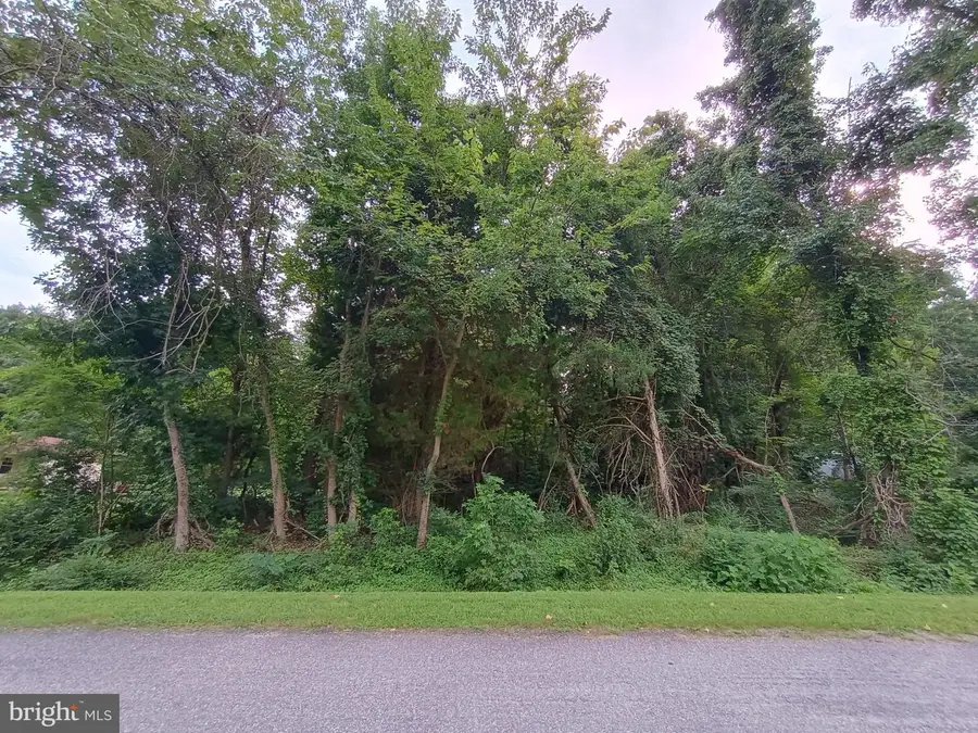Lot 51 American Drive, Montross, VA 22520 - #3