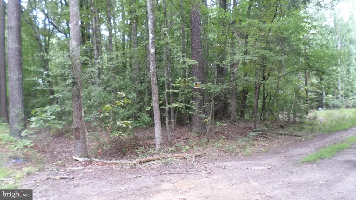 Lot 28 Lilly Way, Colonial Beach, VA 22443 - #1