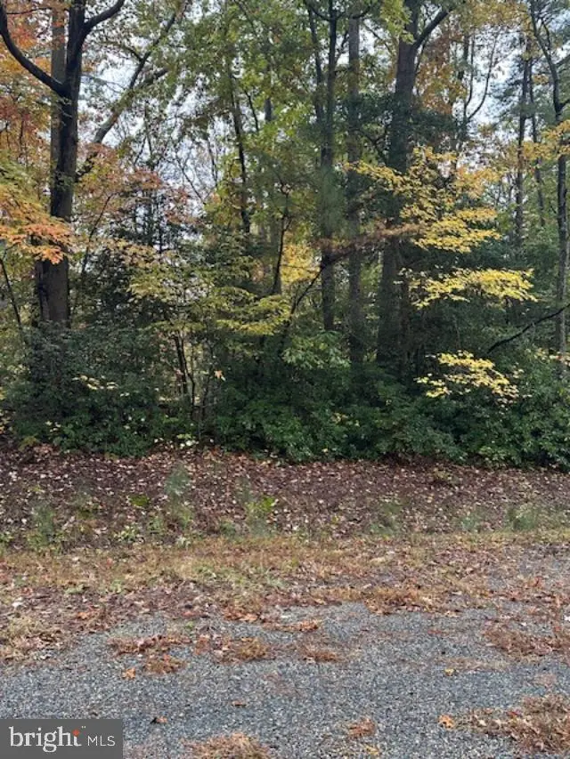 Lot 31 Arthur Ct, Montross, VA 22520 - #1