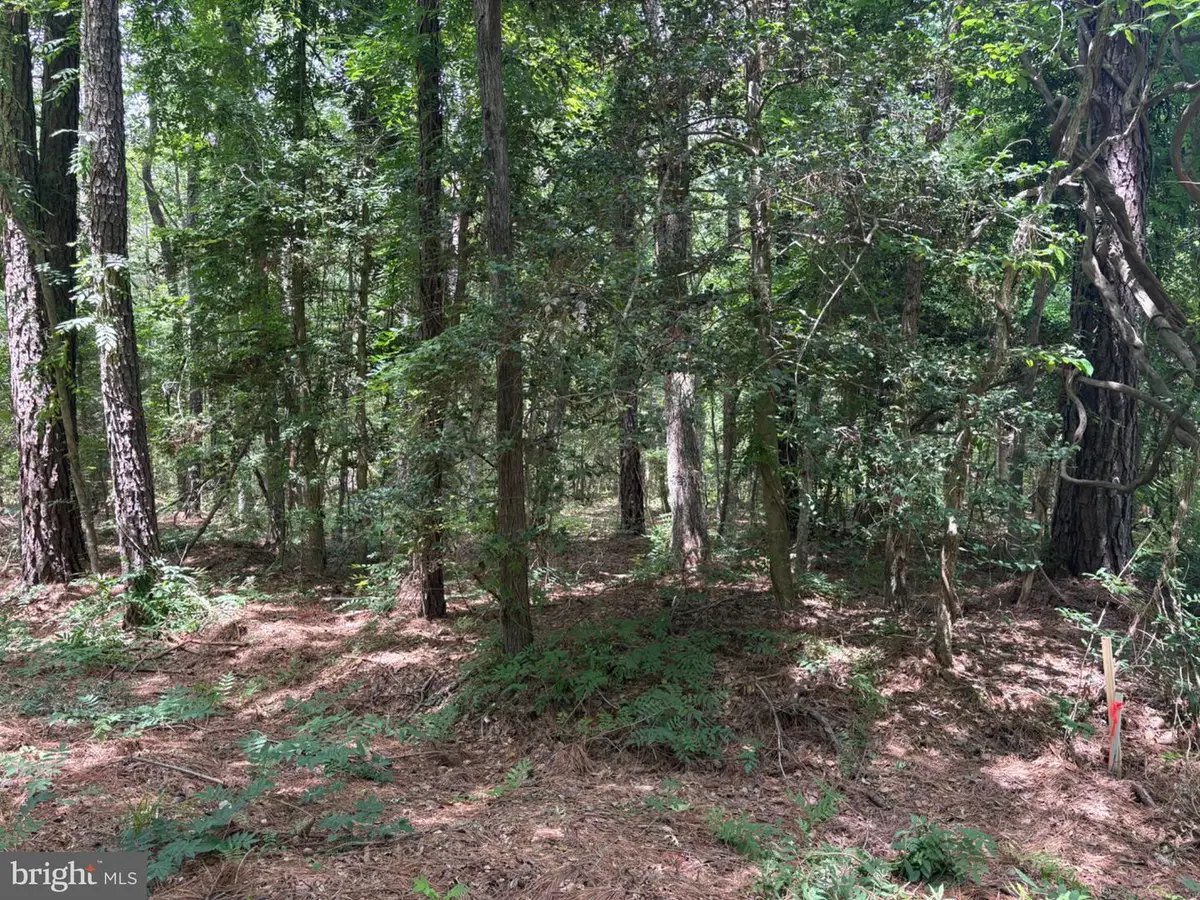 Lot 27 & 28 Stotsylvania Dr, Hague, VA 22469 - #1