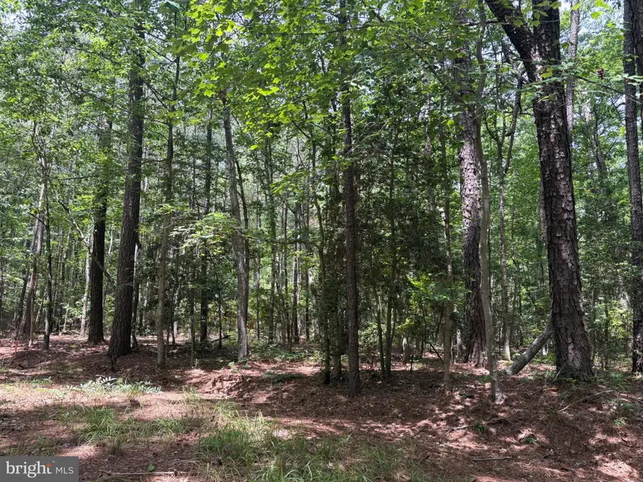 Lot 27 & 28 Stotsylvania Dr, Hague, VA 22469 - #3