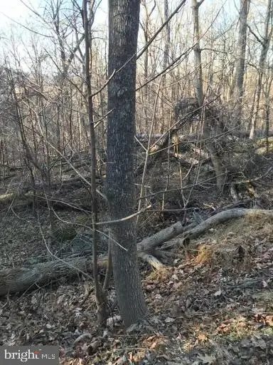 #3