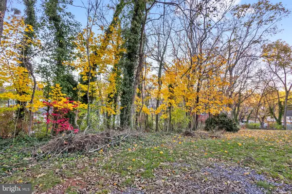 0 Orchard St #lot 2, FRONT ROYAL, VA 22630