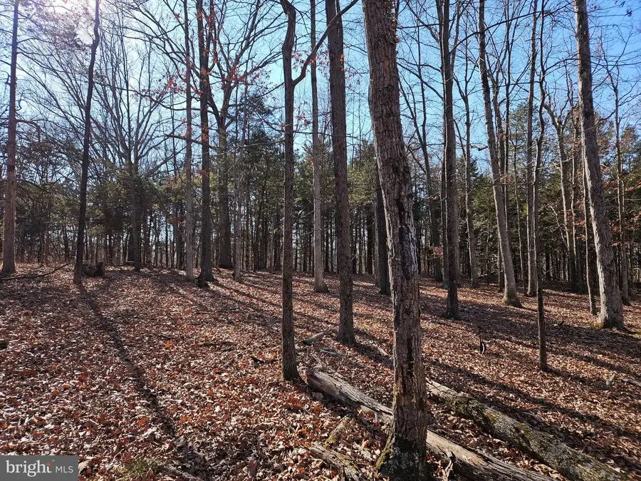 Comforter Ln, Middletown, VA 22645 - Image #3