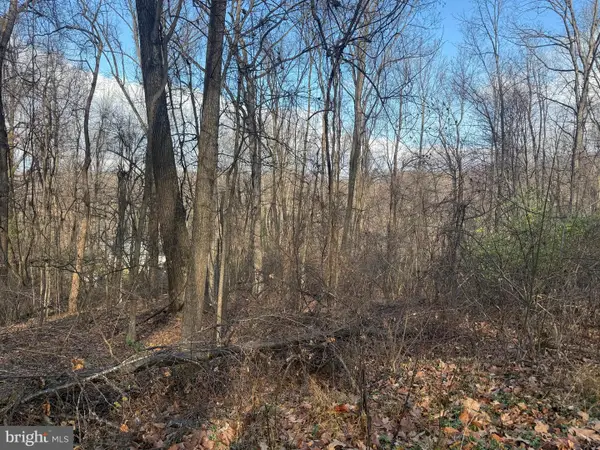 Lot 22 Hickory Tree Rd, FRONT ROYAL, VA 22630