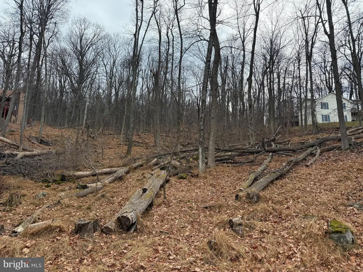 Lot 5 Deer Trail Rd, Front Royal, VA 22630 - Image #1