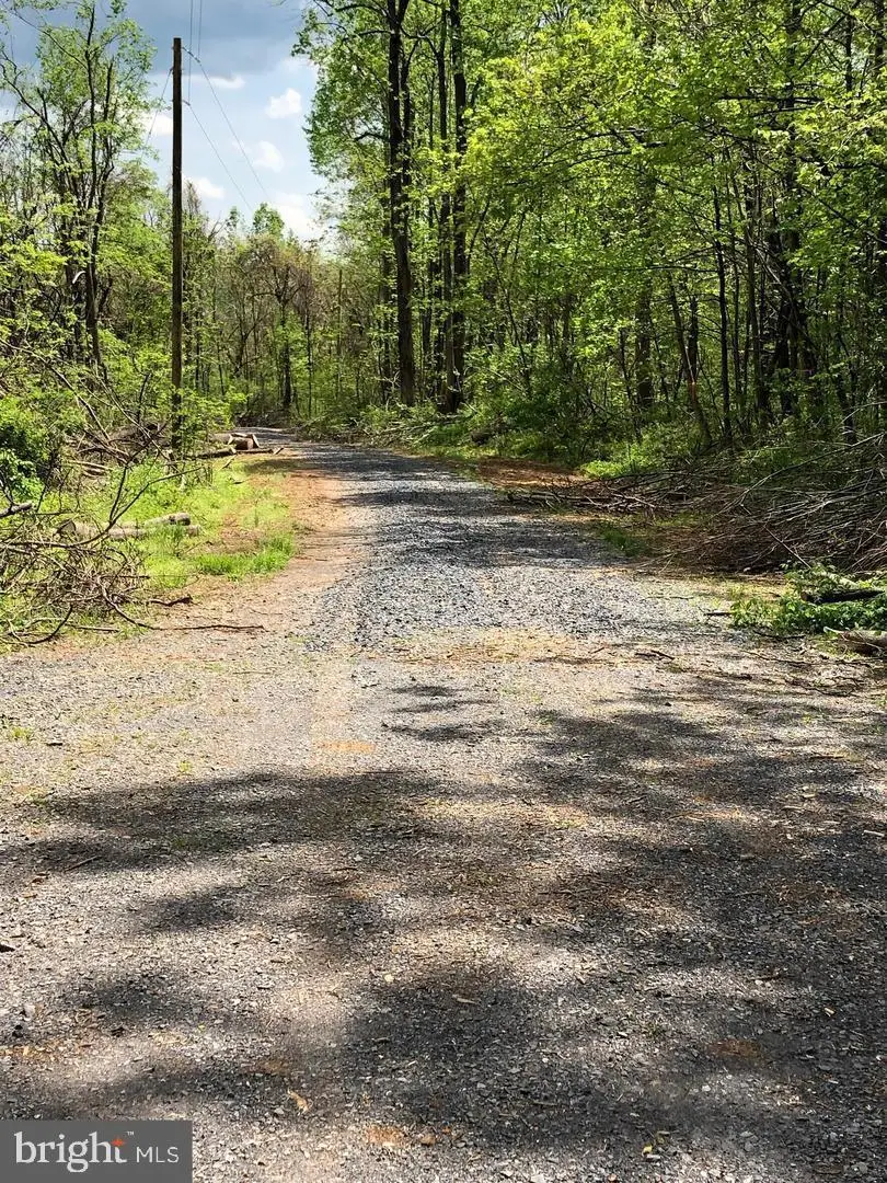 0 Old Orchard Rd, Linden, VA 22642 - Image #1