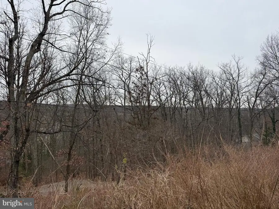 218 Walker Farm Rd, Front Royal, VA 22630 - Image #2