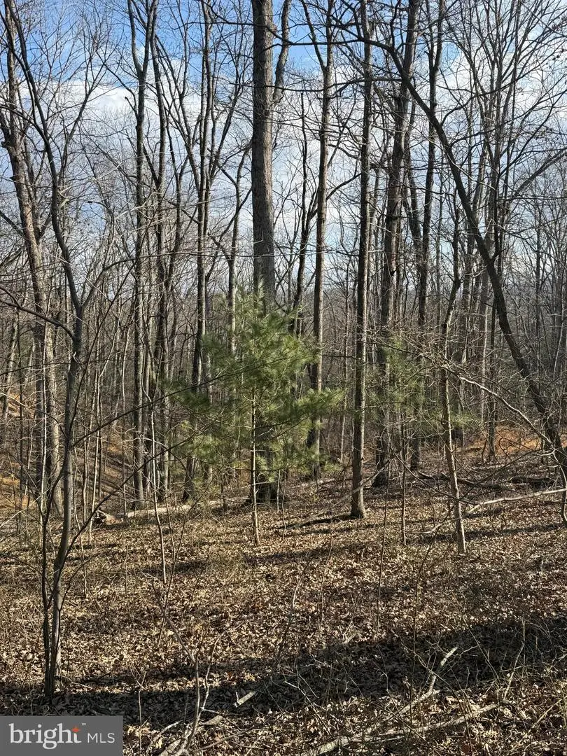 Arrowhead Rd, Front Royal, VA 22630 - #1