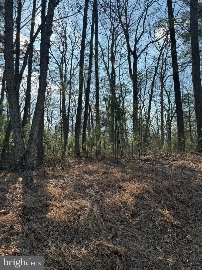 Arrowhead Rd, Front Royal, VA 22630 - #2