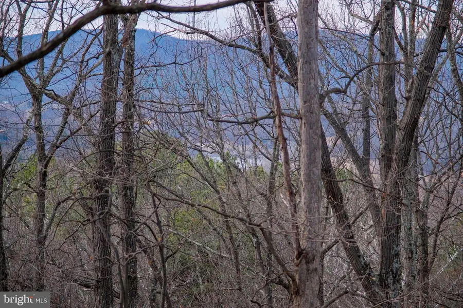 143 Cardinal Wind Dr, Front Royal, VA 22630 - Image #2