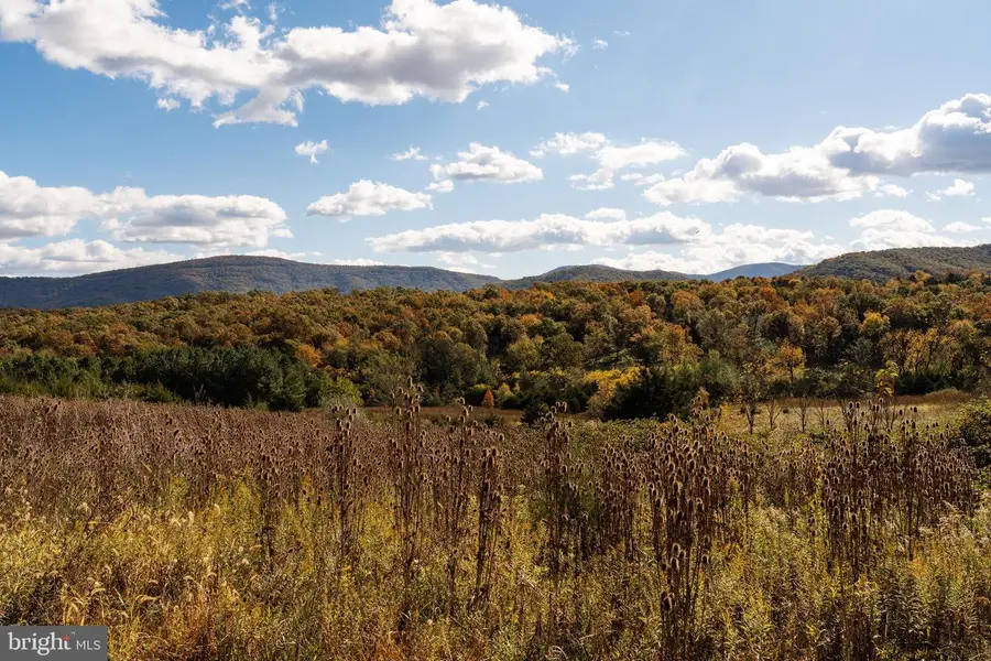 461 Thunderbird Rd, Bentonville, VA 22610 - Image #2