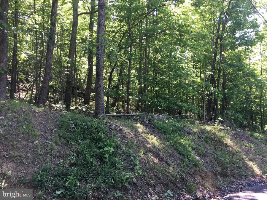 0 Drummer Hill, Front Royal, VA 22630 - #3