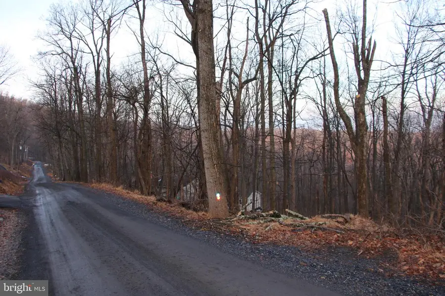 Windy Way, Front Royal, VA 22630 - #2