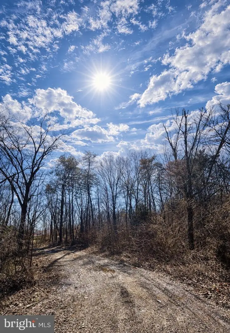 0 Messick Road, Strasburg, VA 22657 - #2