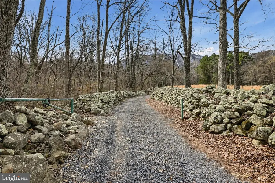 107 Top Of Loop Ln, Bentonville, VA 22610 - #3