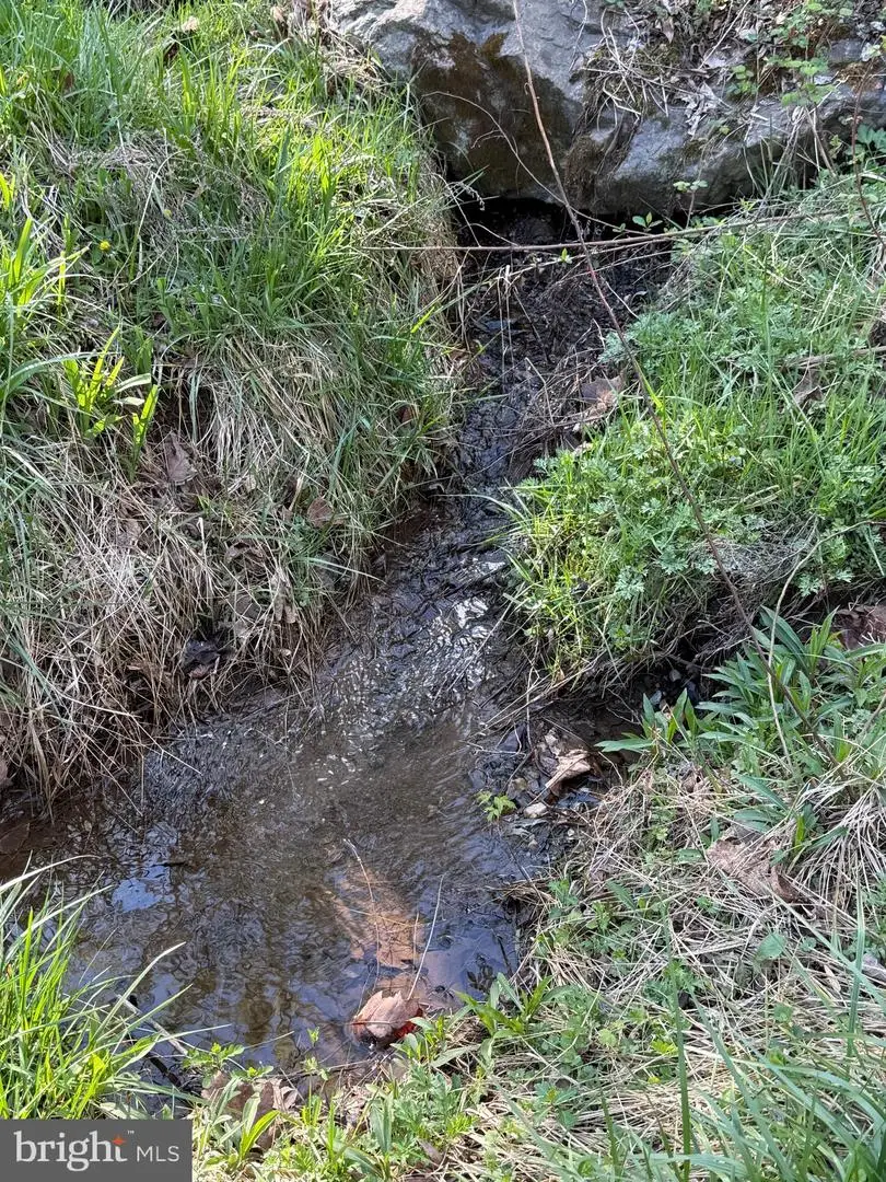 Lot 1-9 Dragons Rd, Linden, VA 22642 - #1