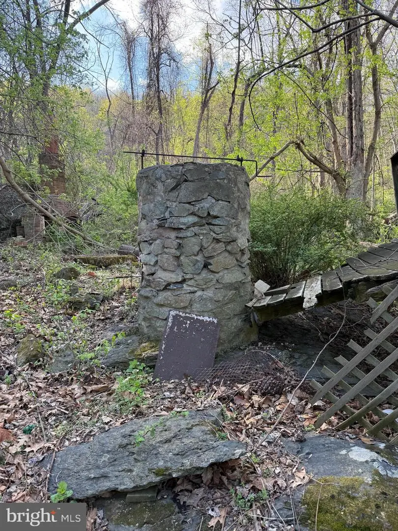 Lot 1-9 Dragons Rd, Linden, VA 22642 - #3