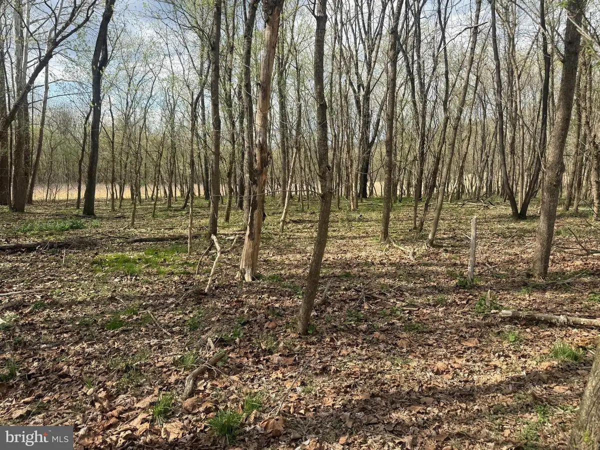 Lot 55 Eagle Dr, Front Royal, VA 22630 - #1