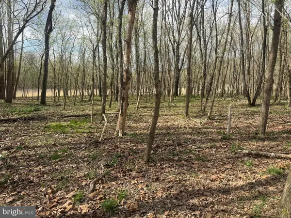 Lot 55 Eagle Dr, FRONT ROYAL, VA 22630