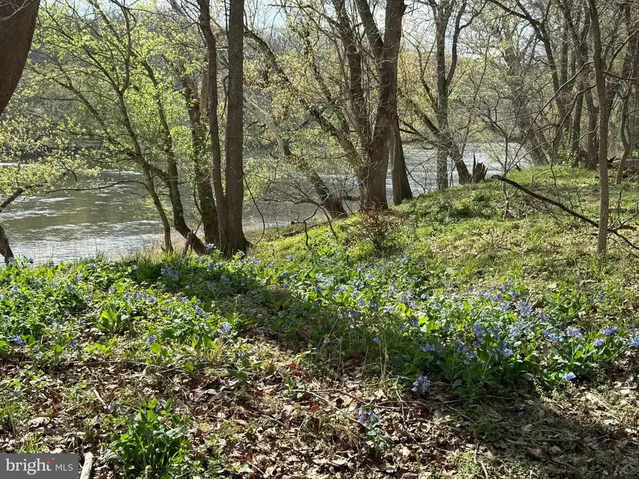 Lot 55 Eagle Dr, Front Royal, VA 22630 - #2