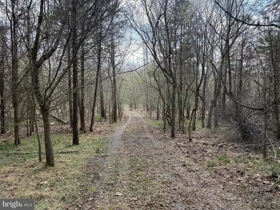 Lot 55 Eagle Dr, Front Royal, VA 22630 - #3