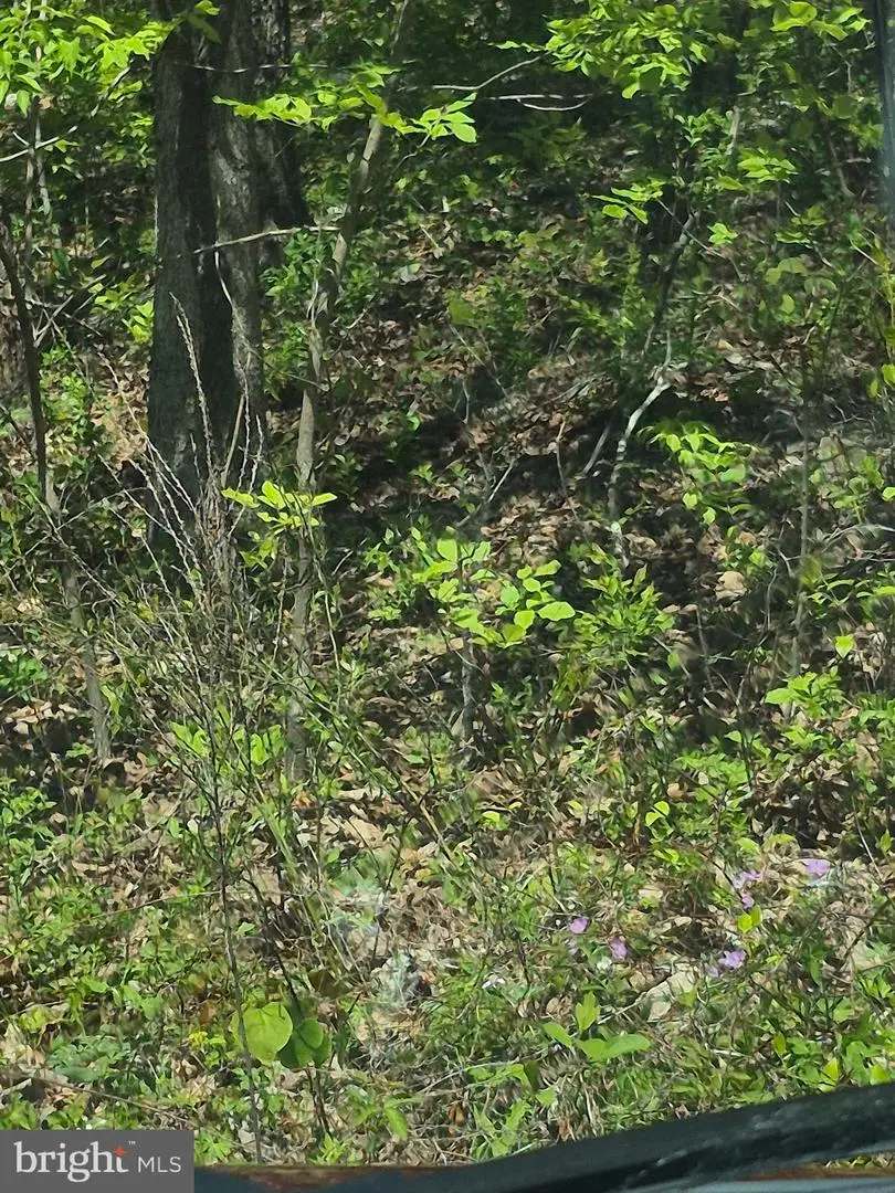 Lot 415 Briar, Front Royal, VA 22630 - #2
