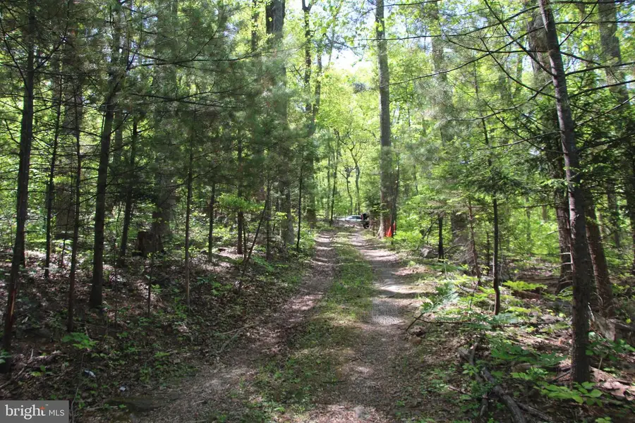 4011 Blue Mountain Rd, Front Royal, VA 22630 - #3