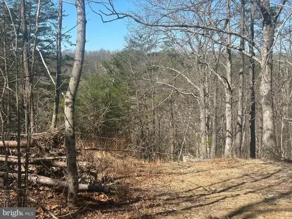 Andrews Rd, STRASBURG, VA 22657