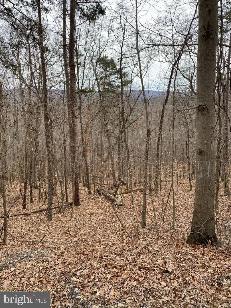 60 Old Oregon Rd, Front Royal, VA 22630 - #3