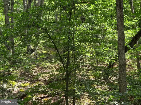 Hillandale Rd Lot 31, FRONT ROYAL, VA 22630