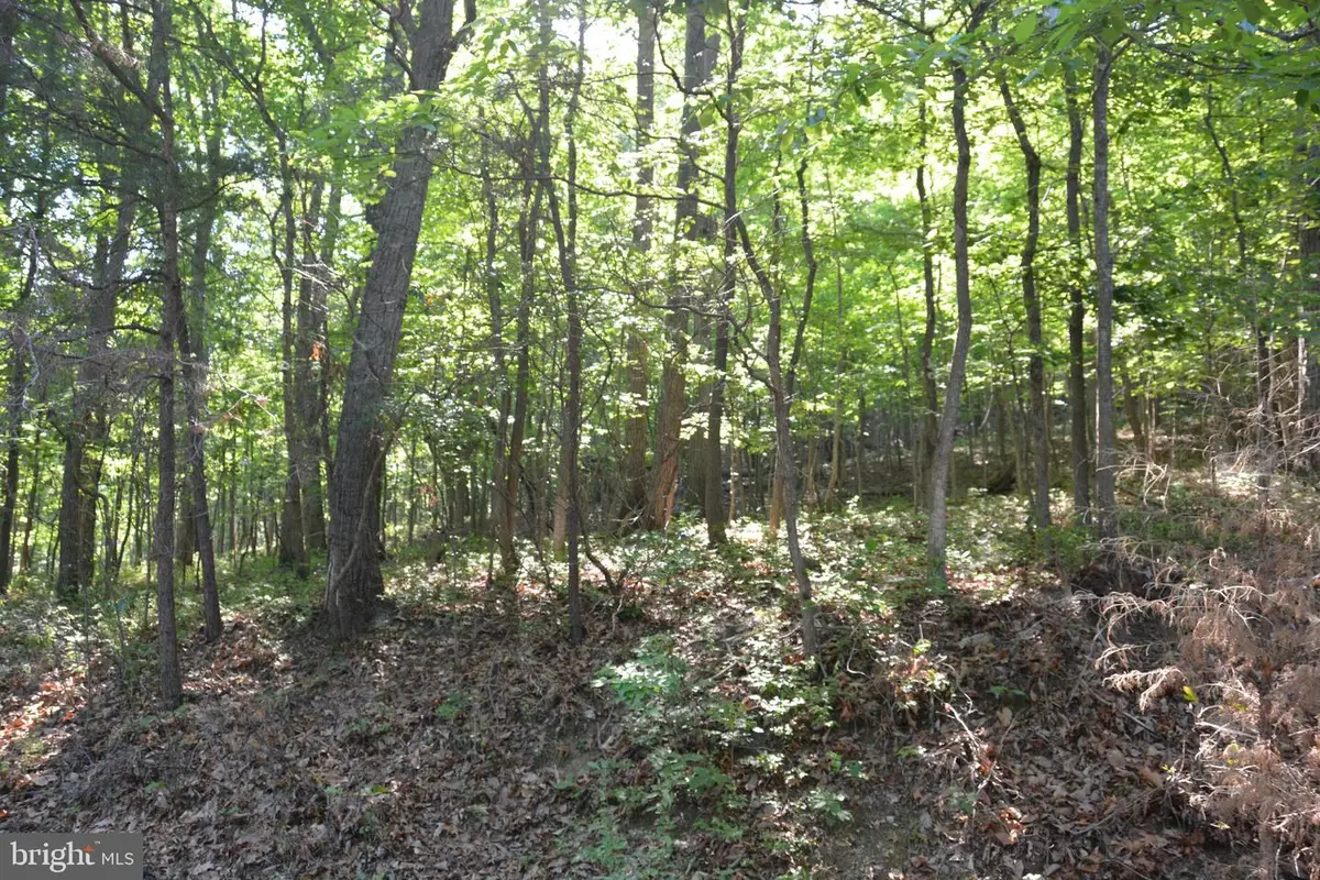 3 Lots - 59, 60, 61 Baldwin Rd, Front Royal, VA 22630 - #1