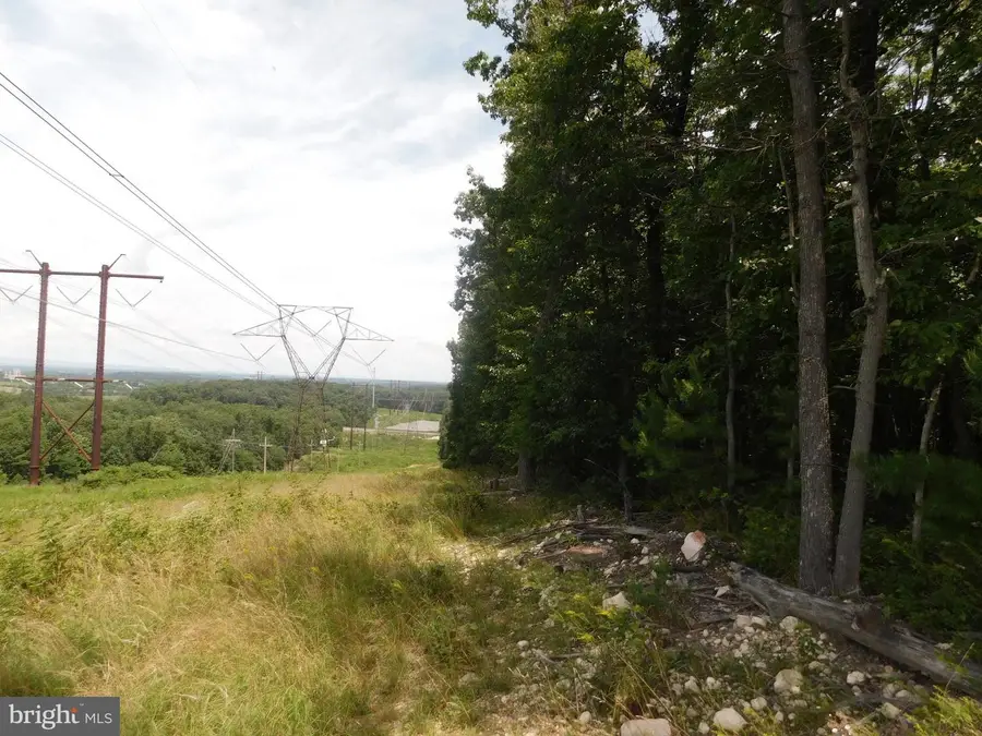 Lot 4a1 Larkin Ridge Rd, Front Royal, VA 22630 - #3