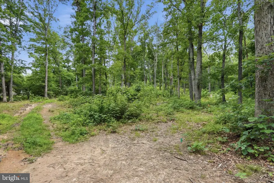 Messick Rd, Strasburg, VA 22657 - #3