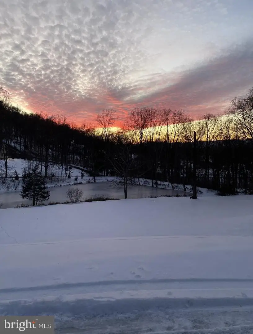 1729 Buck Mountain Rd, Bentonville, VA 22610 - #3