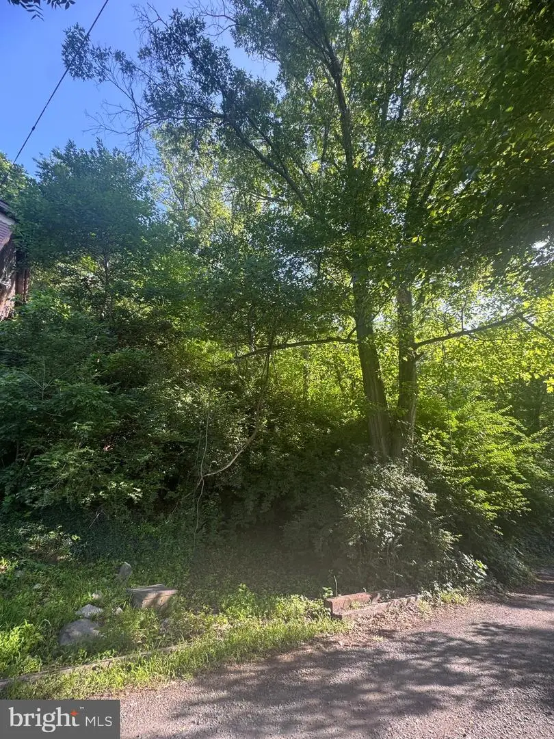 Bennys Beach Rd, Front Royal, VA 22630 - #2