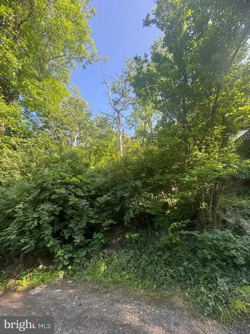 Bennys Beach Rd, Front Royal, VA 22630 - #3