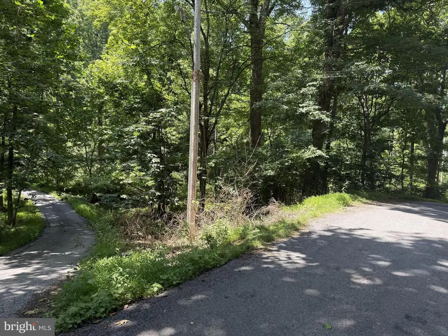 Lot 16 High Knob Ct, Front Royal, VA 22630 - #2