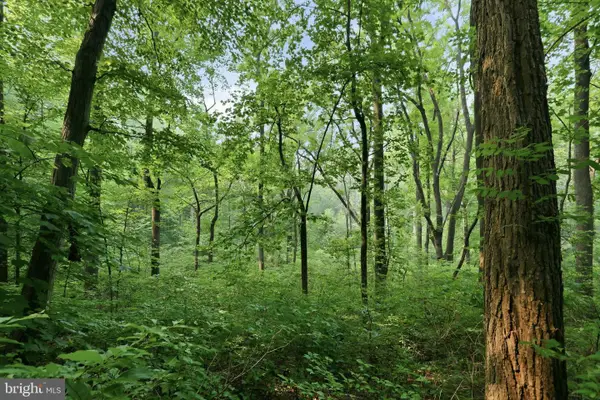 Gooney Manor Loop, BENTONVILLE, VA 22610