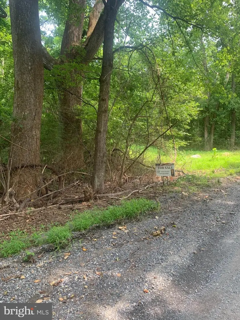 Smith Run Road Smith Run Road, Bentonville, VA 22610 - #3