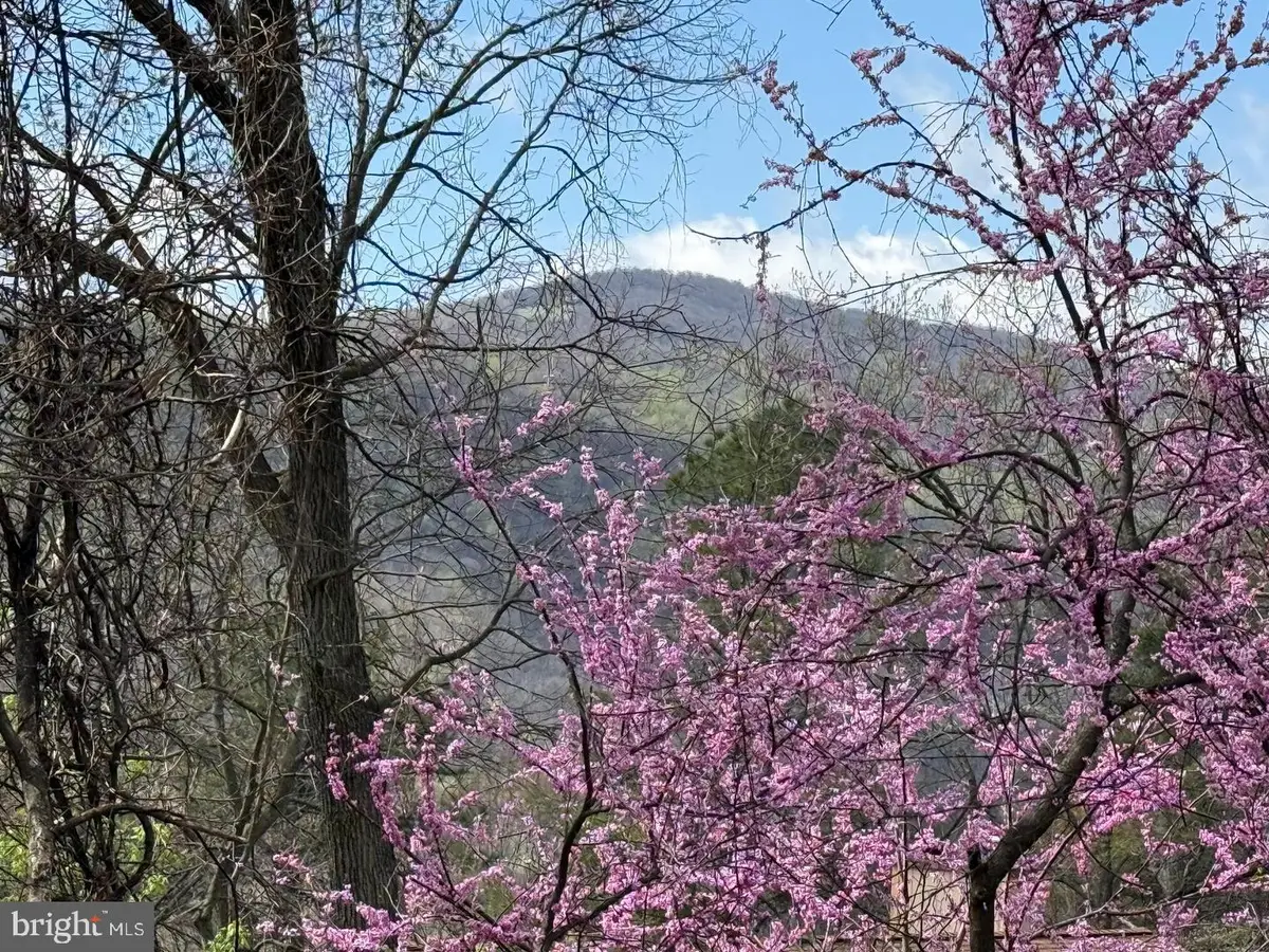 Lot 13 Jonathan Rd, Linden, VA 22642 - #1