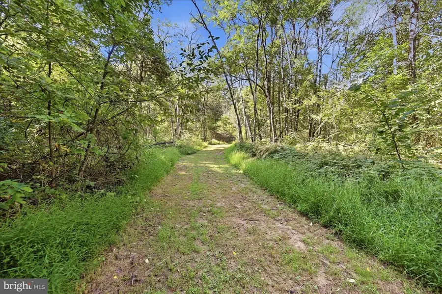 Valley Park Ct, Strasburg, VA 22657 - #2