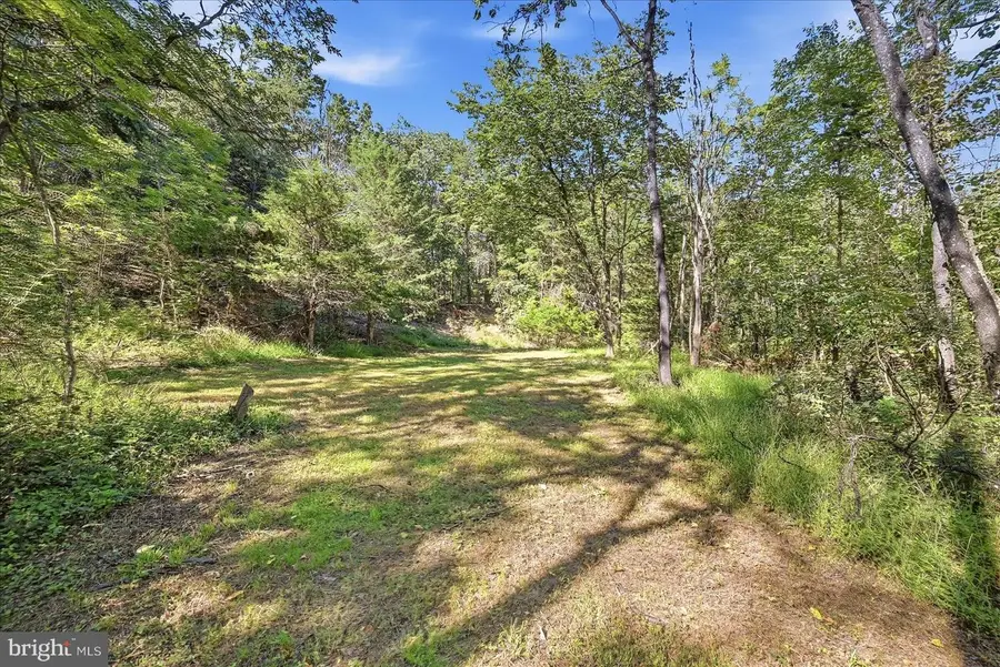 Valley Park Ct, Strasburg, VA 22657 - #3