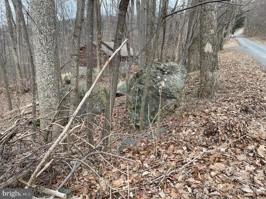 Parkside Rd, Linden, VA 22642 - #2