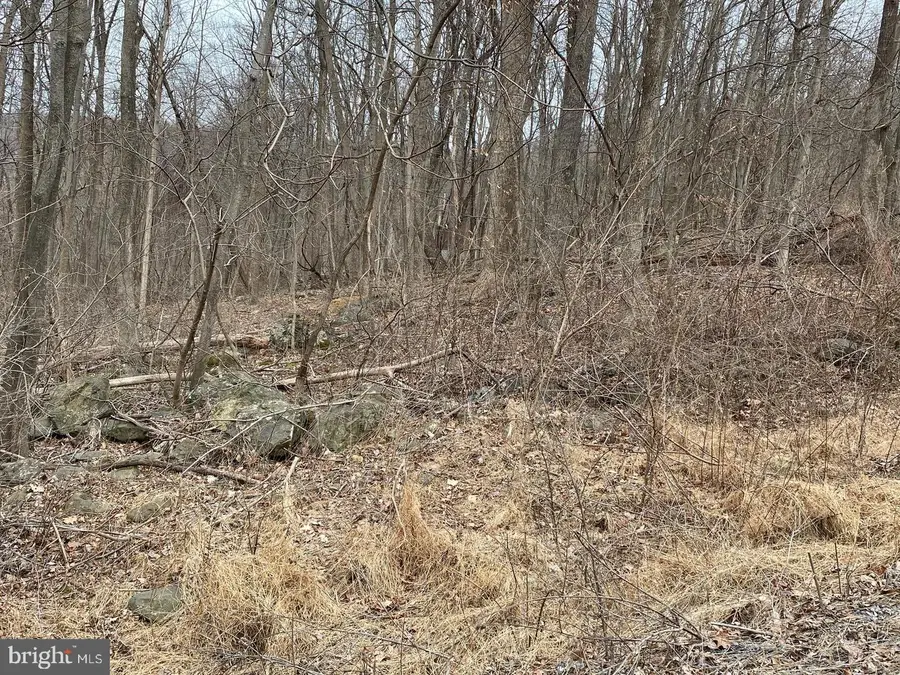 Parkside Rd, Linden, VA 22642 - #3
