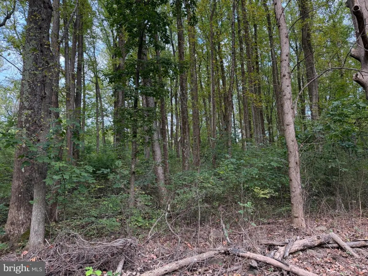 Smith Run, Bentonville, VA 22610 - #1