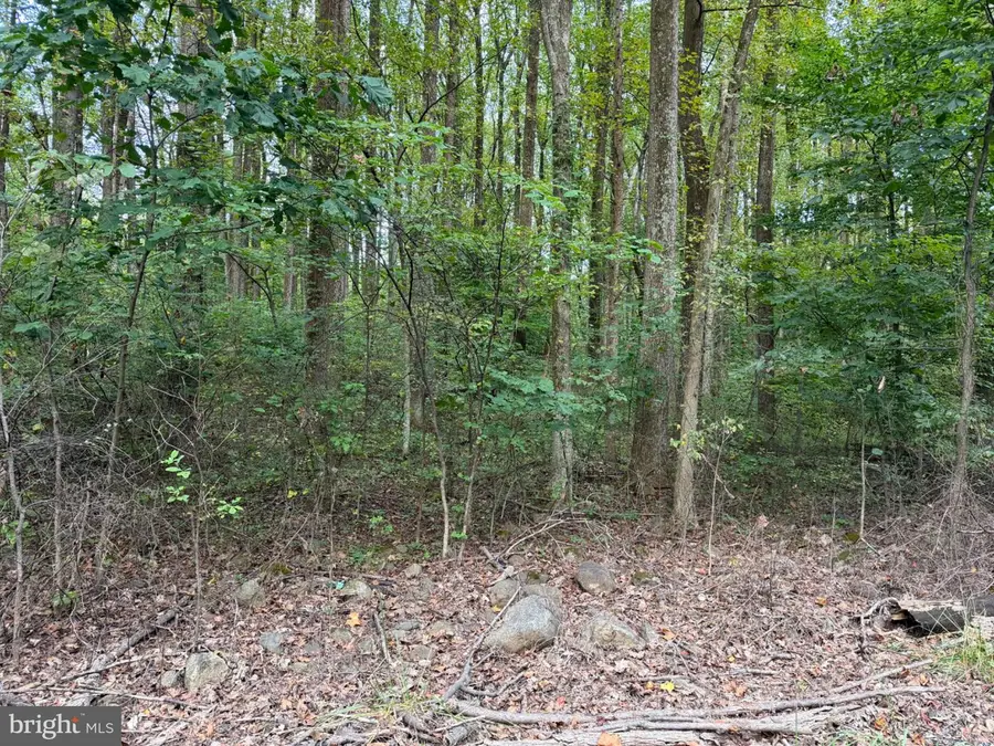 Smith Run, Bentonville, VA 22610 - #3