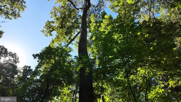 High Top Rd, LINDEN, VA 22642