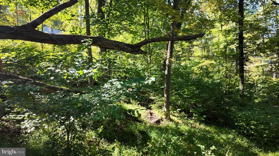 High Top Rd, Linden, VA 22642 - #3