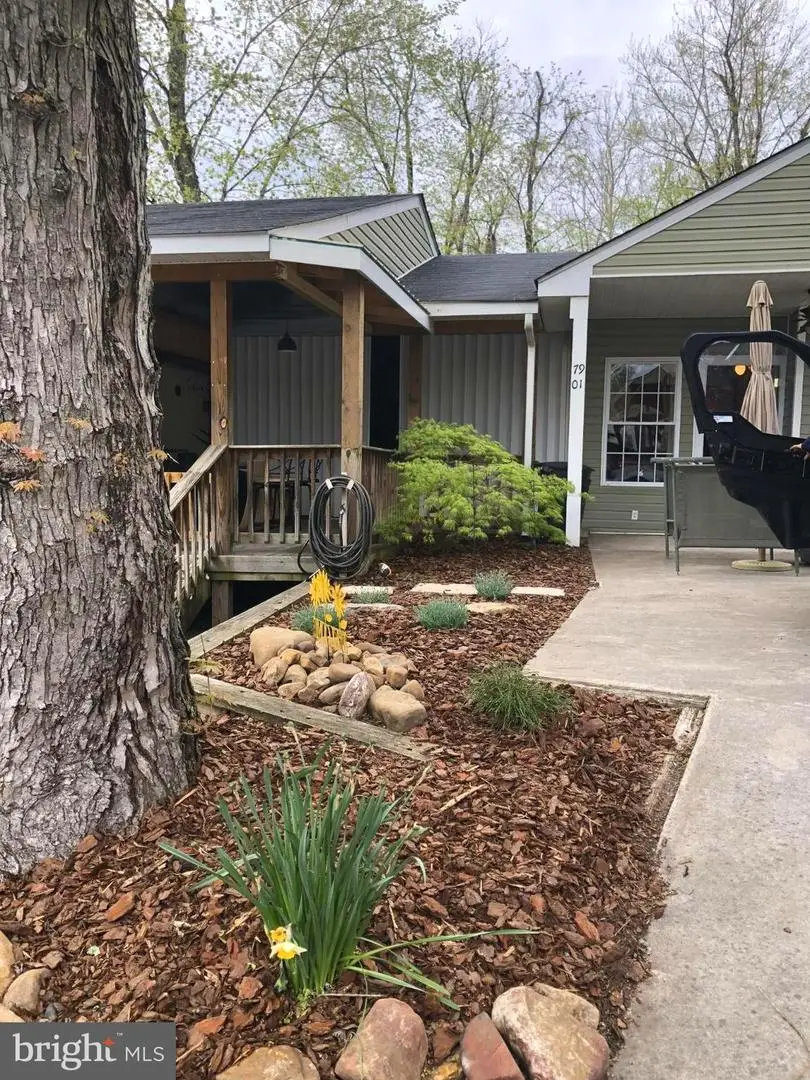 Block 79 Lot 1 Detour Road, Falling Waters, WV 25419 - Image #3